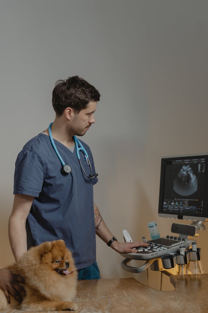our-services-3 Veterinarian examining a Pomeranian dog with ultrasound equipment in a clinic.